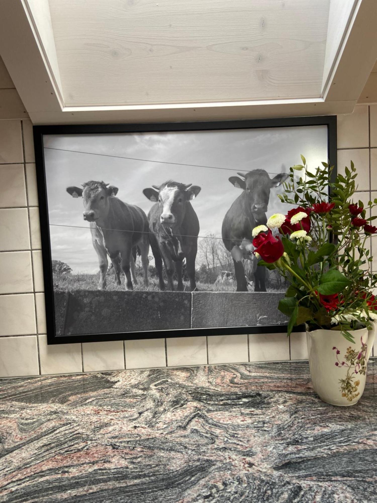 Naturnahe Familienwohnung Ruschegg Bagian luar foto