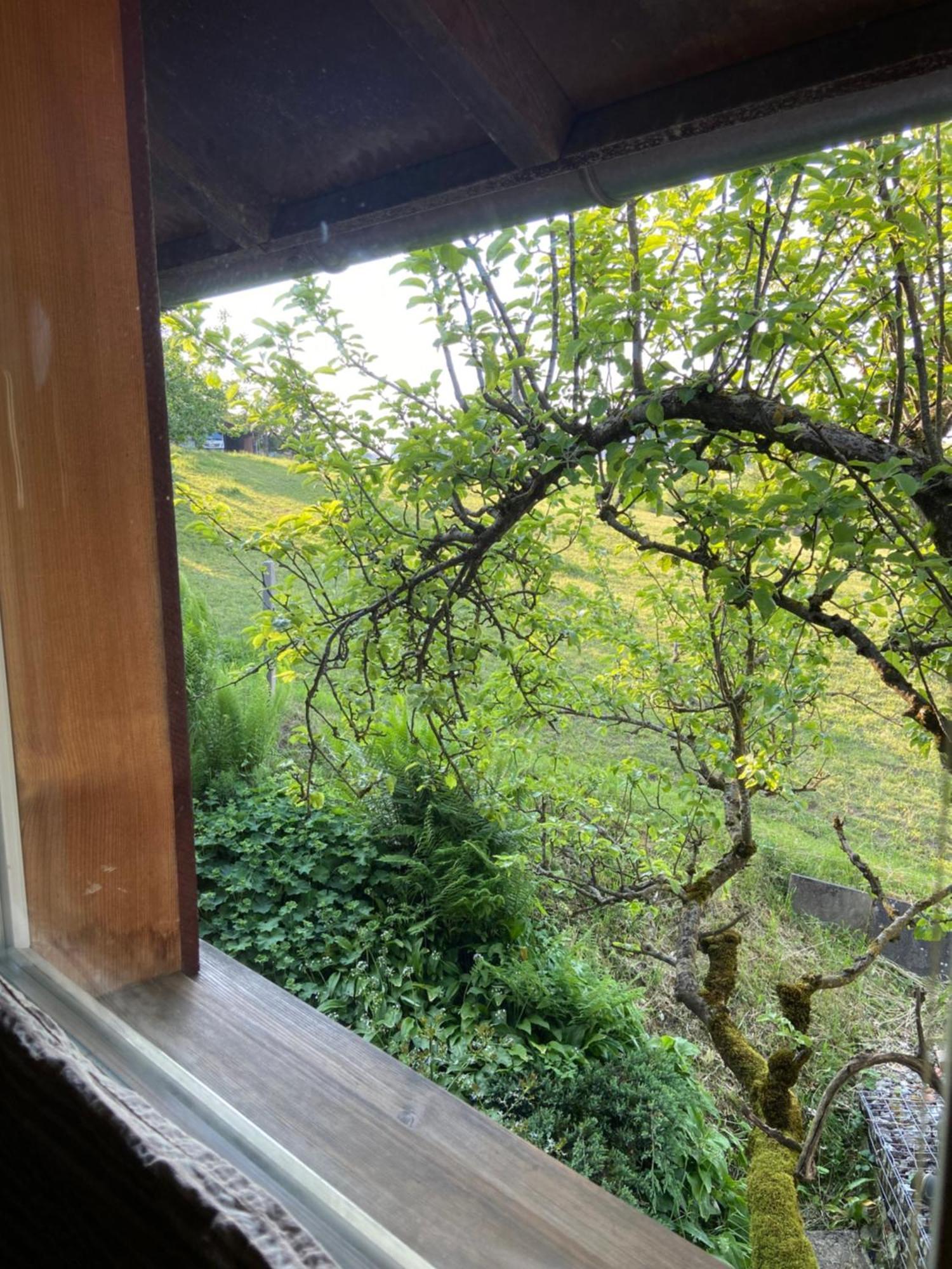 Naturnahe Familienwohnung Ruschegg Bagian luar foto