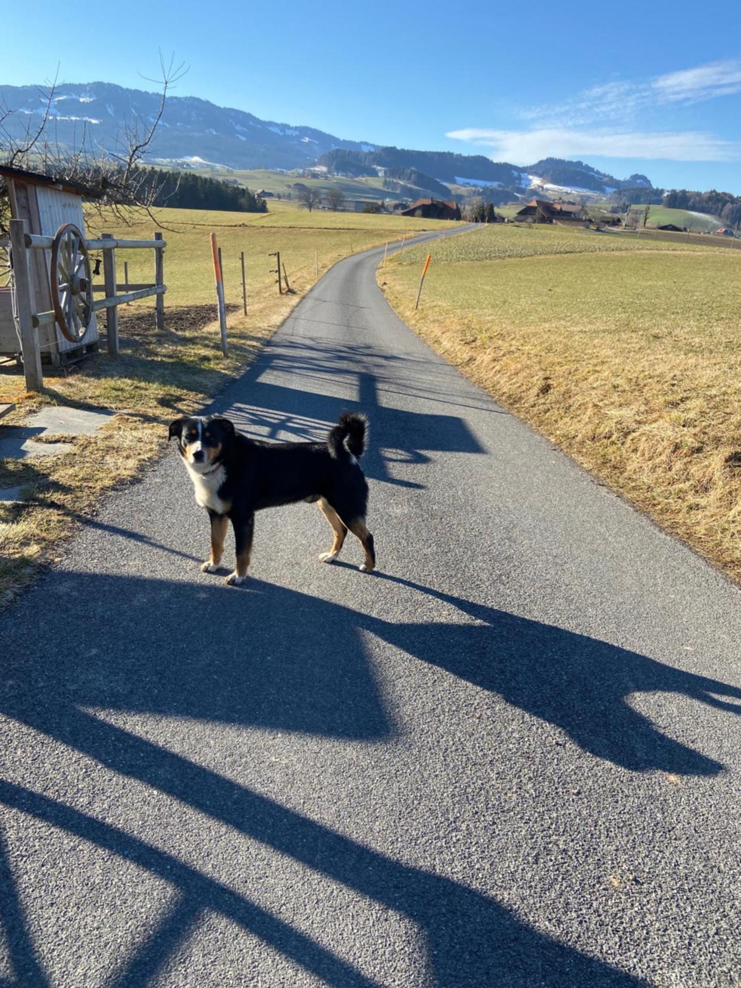 Naturnahe Familienwohnung Ruschegg Bagian luar foto