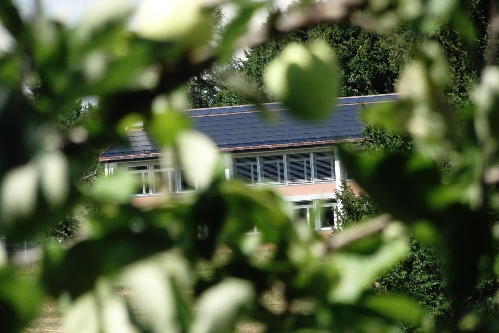 Naturnahe Familienwohnung Ruschegg Bagian luar foto