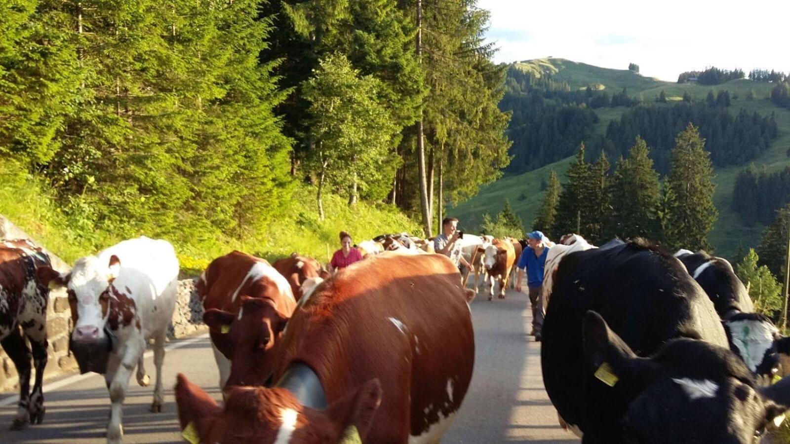Naturnahe Familienwohnung Ruschegg Bagian luar foto